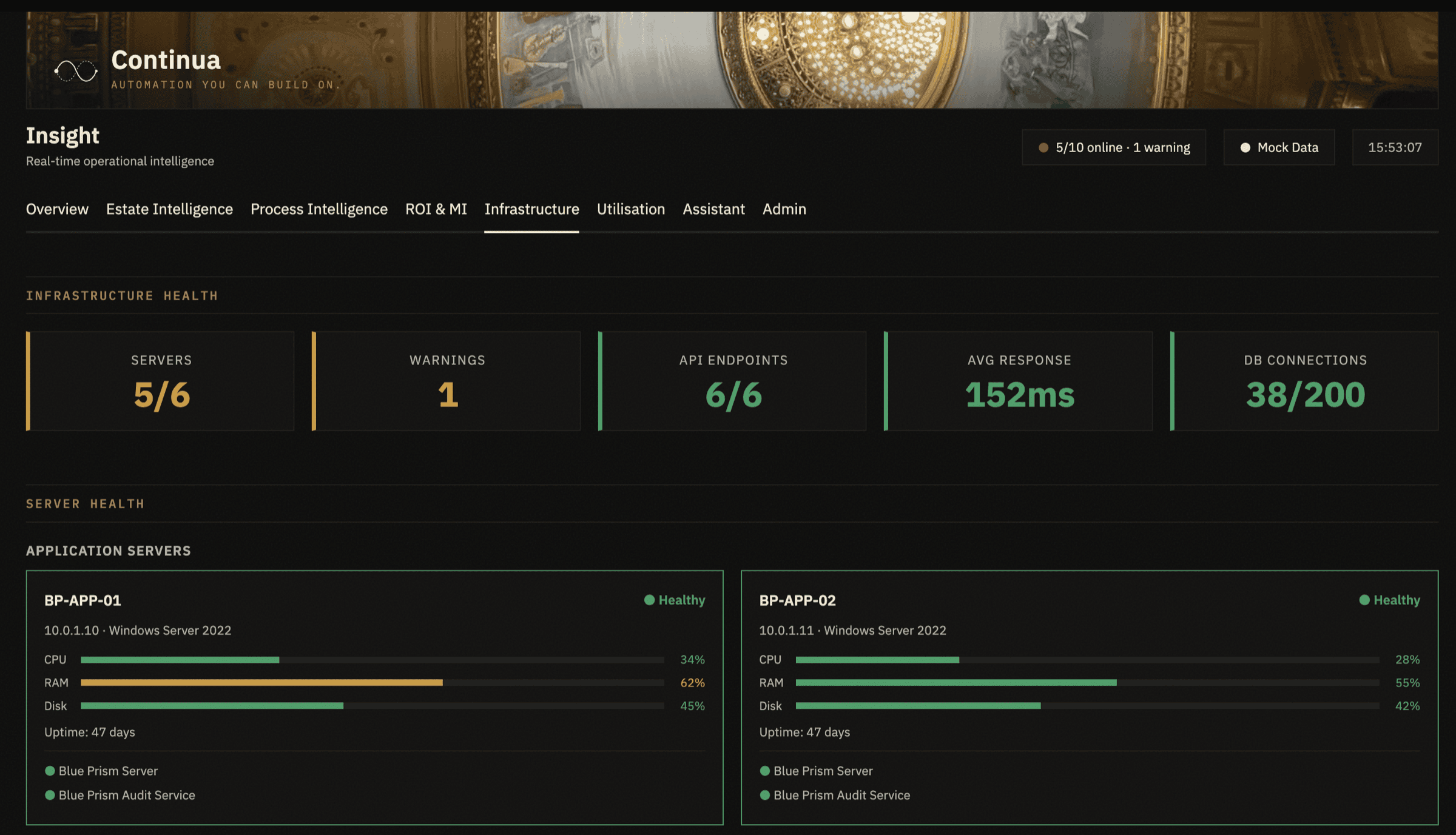 Infrastructure tab — health summary and API endpoints